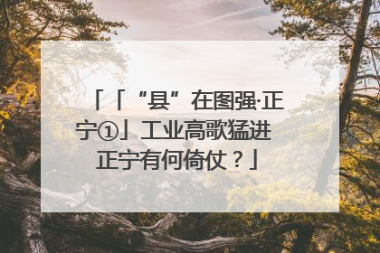 「“县”在图强·正宁①」工业高歌猛进 正宁有何倚仗？