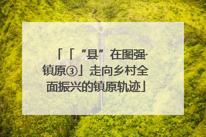 「“县”在图强·镇原③」走向乡村全面振兴的镇原轨迹