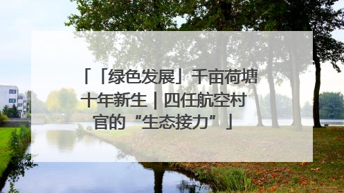 「绿色发展」千亩荷塘 十年新生｜四任航空村官的“生态接力”