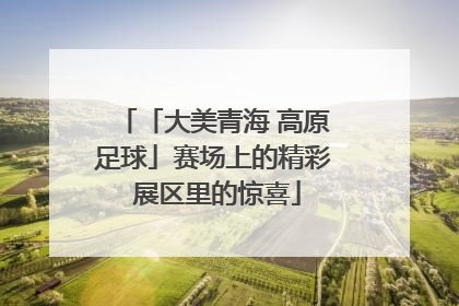 「大美青海 高原足球」赛场上的精彩 展区里的惊喜