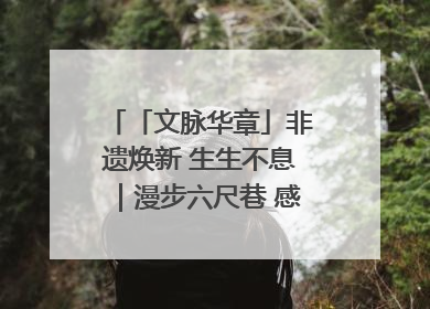 「文脉华章」非遗焕新 生生不息｜漫步六尺巷 感受礼让文化浸润的“巷”往生活