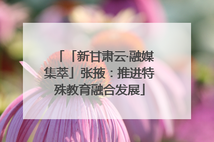 「新甘肃云·融媒集萃」张掖：推进特殊教育融合发展