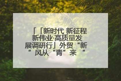 「新时代 新征程 新伟业·高质量发展调研行」外贸“新”风从“青”来 “双向奔赴”启新程