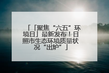 「聚焦“六五”环境日」最新发布！日照市生态环境质量状况“出炉”
