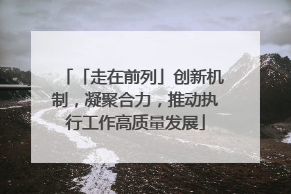 「走在前列」创新机制，凝聚合力，推动执行工作高质量发展