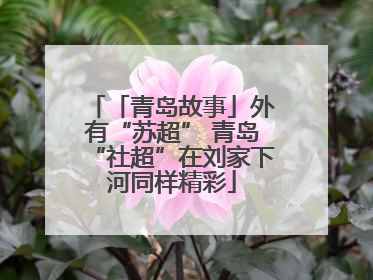 「青岛故事」外有“苏超” 青岛“社超”在刘家下河同样精彩