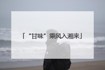 “甘味”乘风入湘来