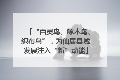 “百灵鸟、啄木鸟、织布鸟”，为仙居县域发展注入“新”动能