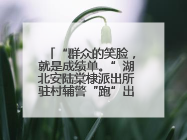 “群众的笑脸，就是成绩单。”湖北安陆棠棣派出所驻村辅警“跑”出幸福加速度