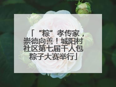 “粽”孝传家，崇德向善！城阳村社区第七届千人包粽子大赛举行
