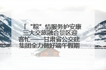 “粽”情服务护安康 三大交旅融合景区迎客忙——甘肃省公交建集团全力做好端午假期景区运营工作