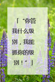 “你管我什么级别，我能抓你的级别！”