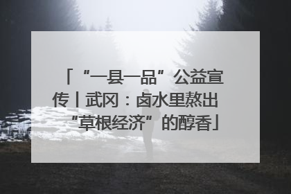 “一县一品”公益宣传丨武冈：卤水里熬出“草根经济”的醇香