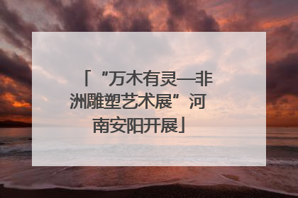“万木有灵—非洲雕塑艺术展”河南安阳开展