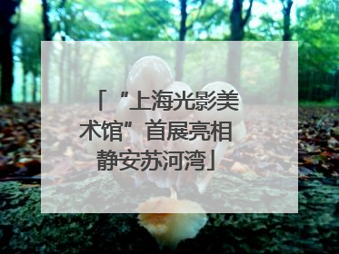 “上海光影美术馆”首展亮相静安苏河湾