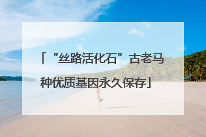 “丝路活化石”古老马种优质基因永久保存