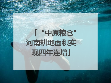“中原粮仓”河南耕地面积实现四年连增