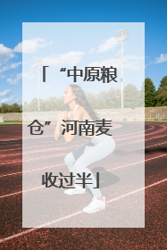“中原粮仓”河南麦收过半