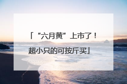 “六月黄”上市了！超小只的可按斤买