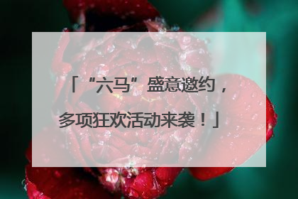 “六马”盛意邀约，多项狂欢活动来袭！