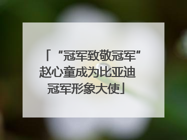 “冠军致敬冠军” 赵心童成为比亚迪冠军形象大使