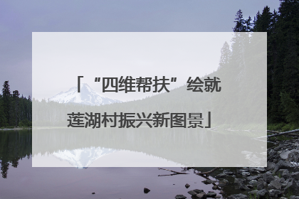 “四维帮扶”绘就莲湖村振兴新图景