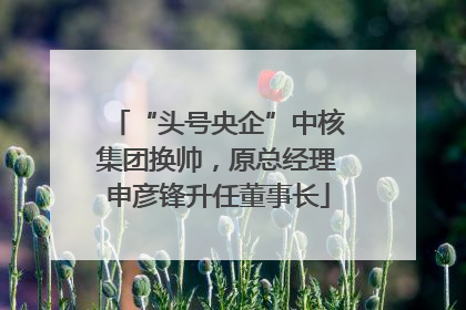 “头号央企”中核集团换帅，原总经理申彦锋升任董事长