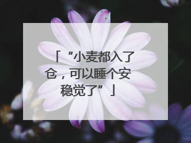 “小麦都入了仓，可以睡个安稳觉了”