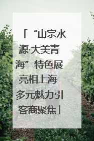 “山宗水源·大美青海”特色展亮相上海 多元魅力引客商聚焦