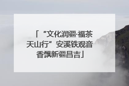 “文化润疆·福茶天山行”安溪铁观音香飘新疆昌吉