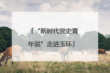 “新时代党史青年说”走进玉环