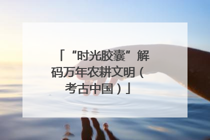 “时光胶囊”解码万年农耕文明（考古中国）