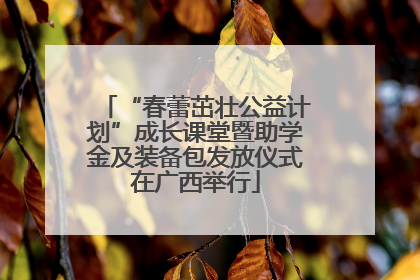 “春蕾茁壮公益计划”成长课堂暨助学金及装备包发放仪式在广西举行