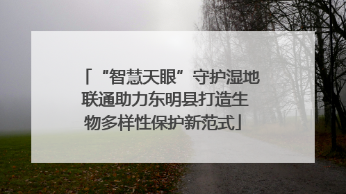 “智慧天眼”守护湿地 联通助力东明县打造生物多样性保护新范式