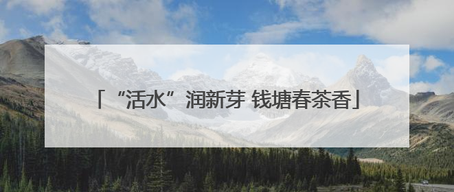 “活水”润新芽 钱塘春茶香