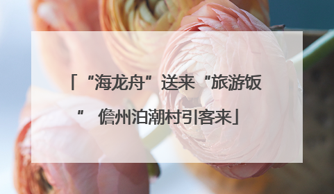 “海龙舟”送来“旅游饭” 儋州泊潮村引客来