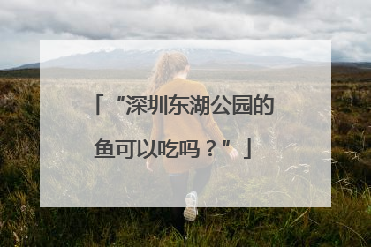 “深圳东湖公园的鱼可以吃吗？”
