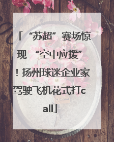 “苏超”赛场惊现 “空中应援”！扬州球迷企业家驾驶飞机花式打call