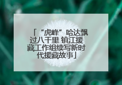 “虎峰”哈达飘过八千里 镇江援藏工作组续写新时代援藏故事