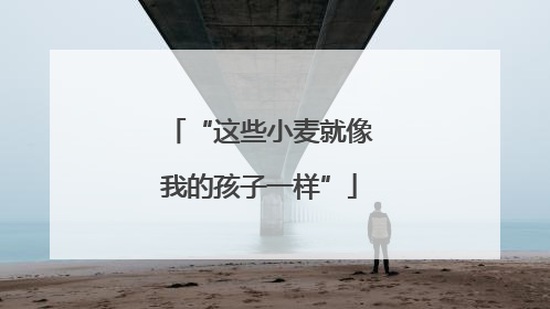 “这些小麦就像我的孩子一样”
