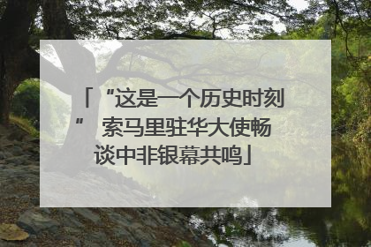 “这是一个历史时刻” 索马里驻华大使畅谈中非银幕共鸣