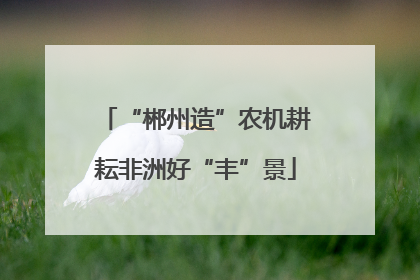 “郴州造”农机耕耘非洲好“丰”景