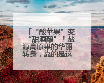 “酸苹果”变“甜酒酿”！盐源高原果的华丽转身，靠的是这场浙川千里“联姻”