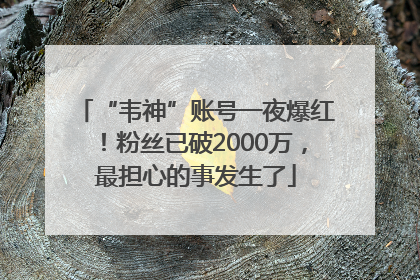 “韦神”账号一夜爆红！粉丝已破2000万，最担心的事发生了