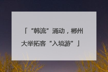 “韩流”涌动，郴州大举拓客“入境游”