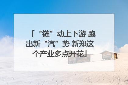 “链”动上下游 跑出新“汽”势 新郑这个产业多点开花