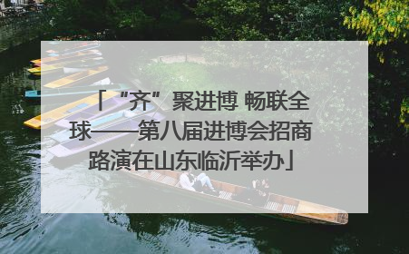 “齐”聚进博 畅联全球——第八届进博会招商路演在山东临沂举办