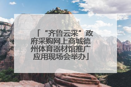 “齐鲁云采”政府采购网上商城德州体育器材馆推广应用现场会举办