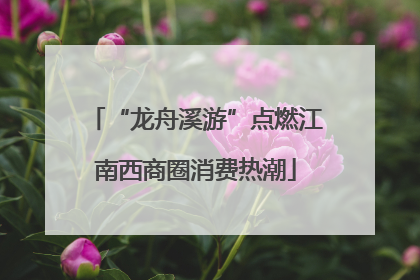 “龙舟溪游”点燃江南西商圈消费热潮