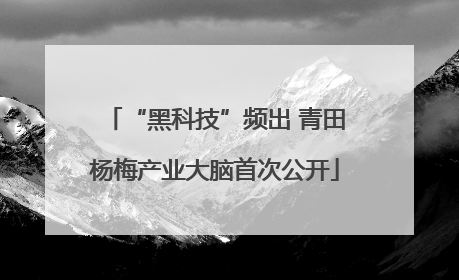 “黑科技”频出 青田杨梅产业大脑首次公开